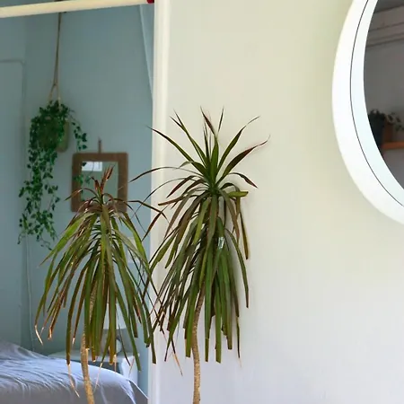 Casa Ikigai Peaceful 科斯镇
